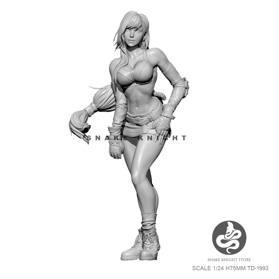 1/24 kits de resina figura sol - Model Kit Galahad avaliação e preço