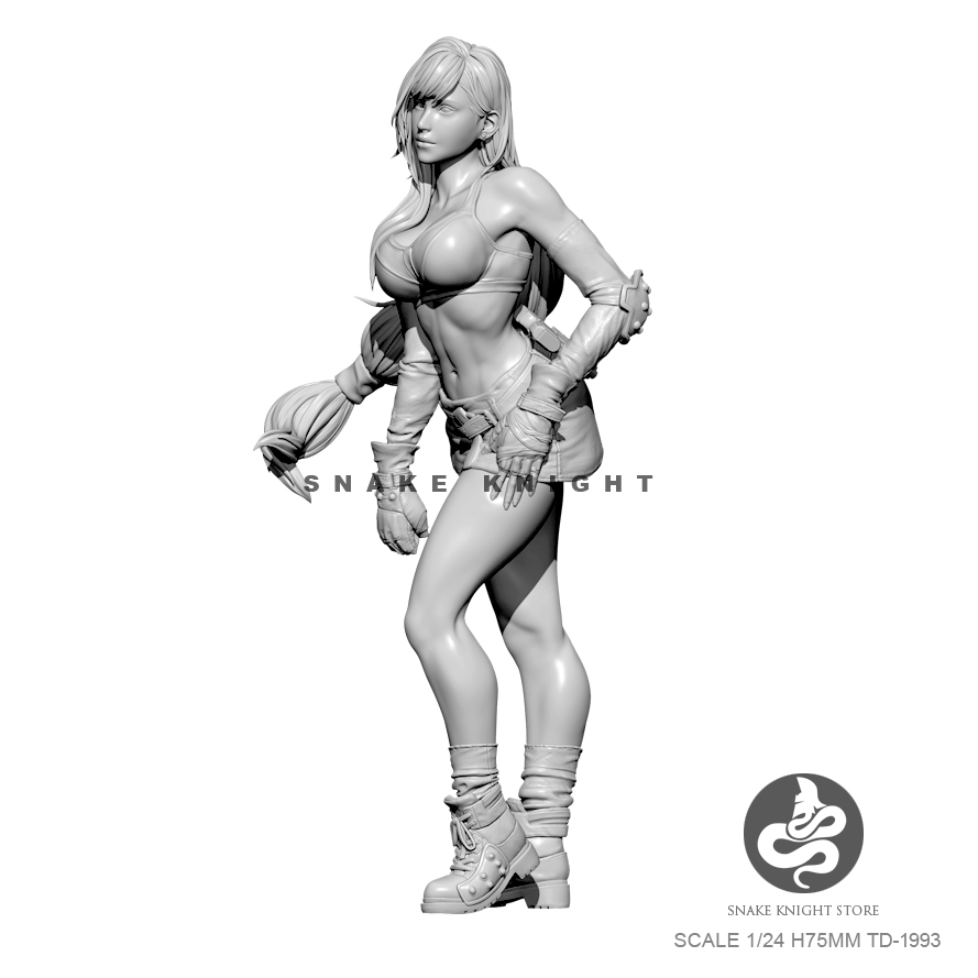 1/24 kits de resina figura sol - Model Kit Galahad avaliação e preço
