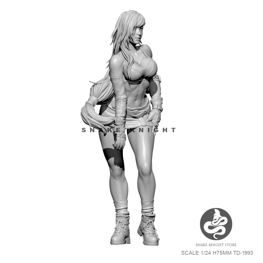 1/24 kits de resina figura sol - Model Kit Galahad avaliação e preço